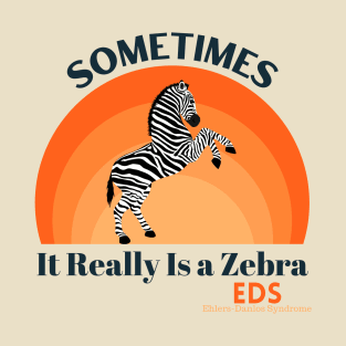 Sometimes It Really Is A Zebra Ehlers-Danlos Syndrome T-Shirt