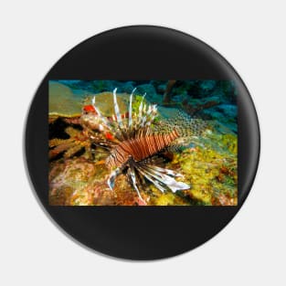 Lionfish Pin