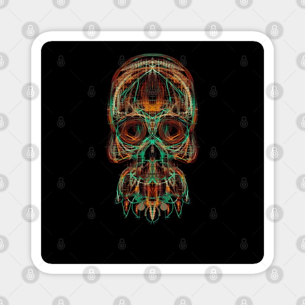Electroluminated Skull - Tropical Magnet by Boogie 72