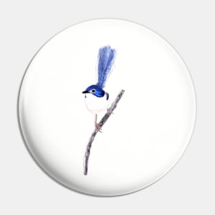 Fairy Wren Pin