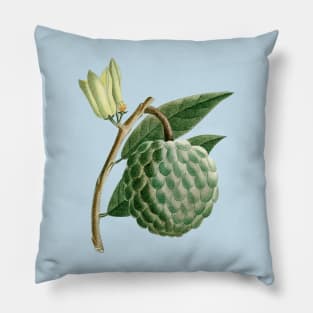 Hand Drawn Custard apple Pillow