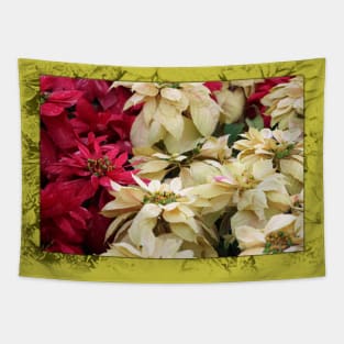 Red and White Christmas Poinsettias Digital Art Tapestry