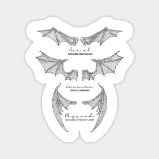 Batboys - Rhysand, Cassian, Azriel Wingspan Design Magnet