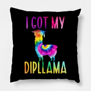 I Got My Dipllama Pillow