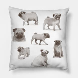 Pug Collection Pillow