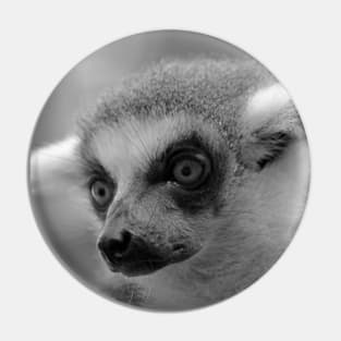 Ring-Tailed Lemur Pin