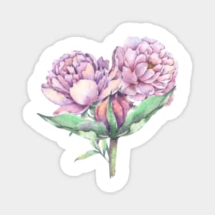 Pretty in Peonies Magnet