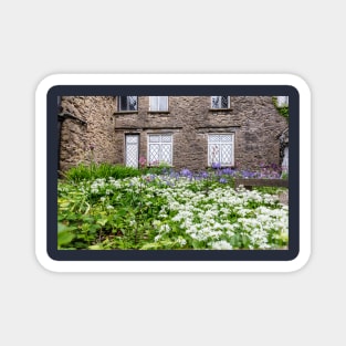 Wild Garlic And Bluebells Magnet