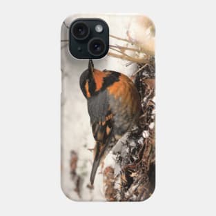 Stunning Varied Thrush on the Snowy Ground Phone Case