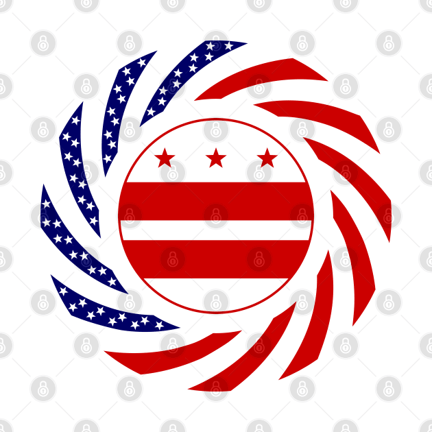 DC Murican Patriot Flag Series by Village Values