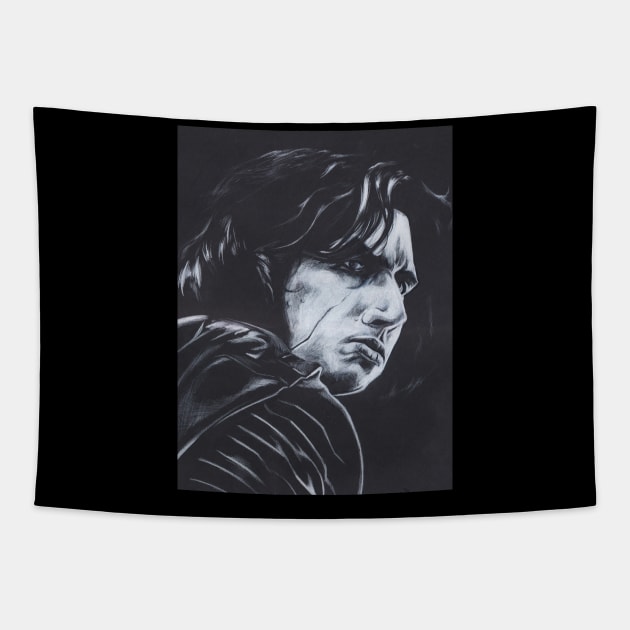 Ben Solo Tapestry by EdsThreads