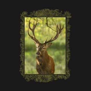 Pure Wildlife: Deer Bull T-Shirt