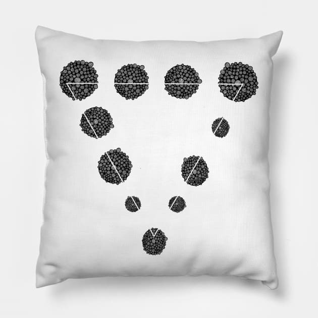 Cycle Pillow by ckai