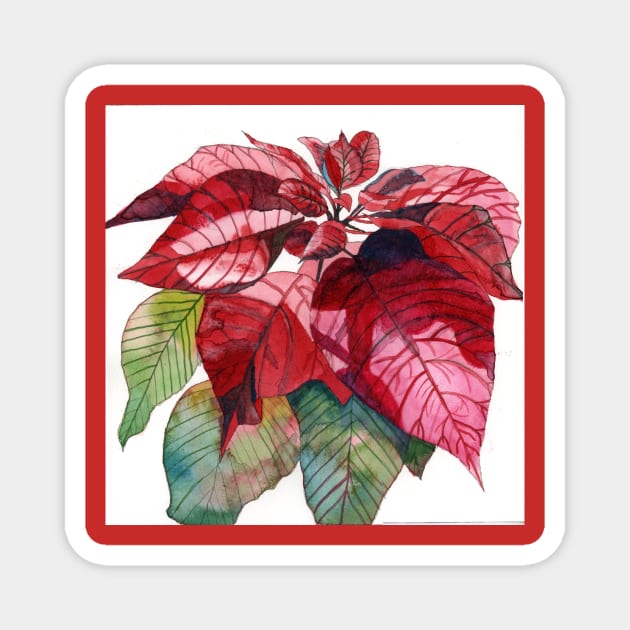 Red Poinsettia Flower original watercolour painting Magnet by esvb