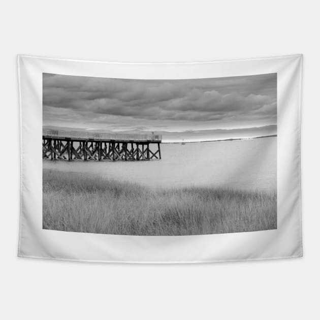 Jetty on Calf Pasture Beach Connecticut under overcast sky in moody monochrome  Wonderful for an art print on  your wall, or even a t-shirt. Tapestry by brians101