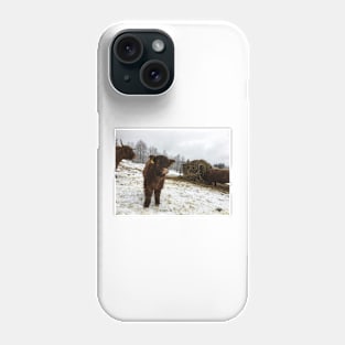 Scottish Highland Cattle Calf 1660 Phone Case