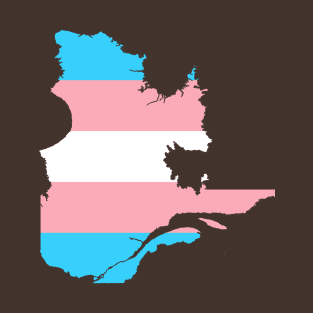 Quebec transgener flag T-Shirt