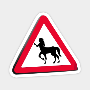 Centaur Crossing Magnet