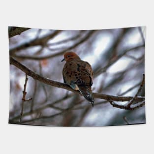 Winter Mourning Dove Perched In a Tree Tapestry
