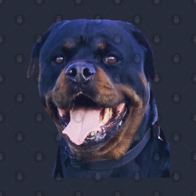 Rottweiler Pooch Smiling BR by PLANTONE