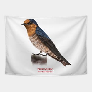 Pacific Swallow | Hirundo tahitica Tapestry