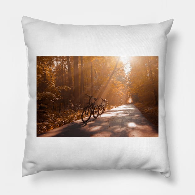 Morning Autumn Forest Pillow by cinema4design