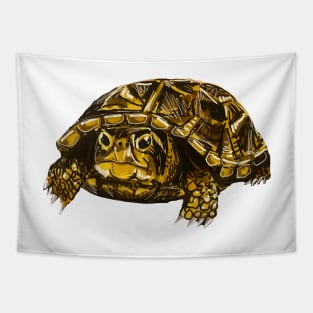 Ornate Box Turtle Tapestry