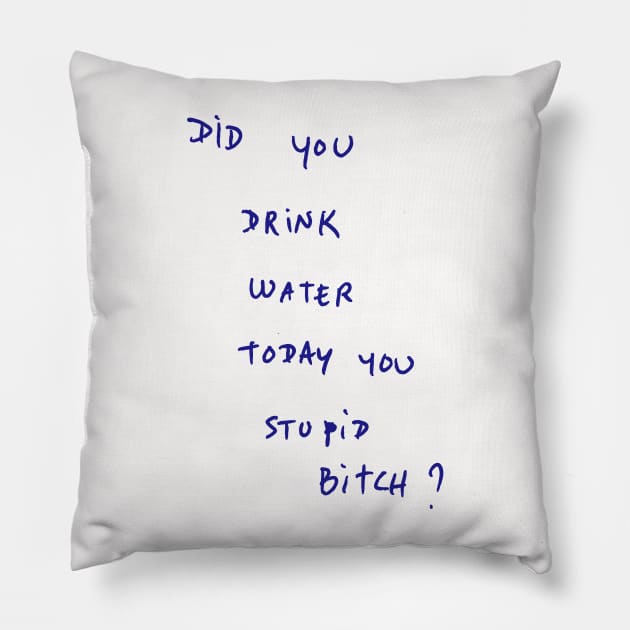 DID YOU DRINK WATER TODAY YOU STUPID Bitch ? Pillow by bmron