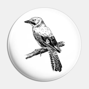 Jay bird print Pin