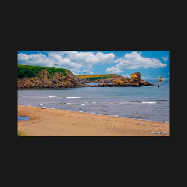 Beach at Margaree Harbour by kenmo