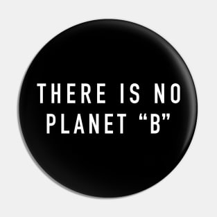 There is no planet b Pin