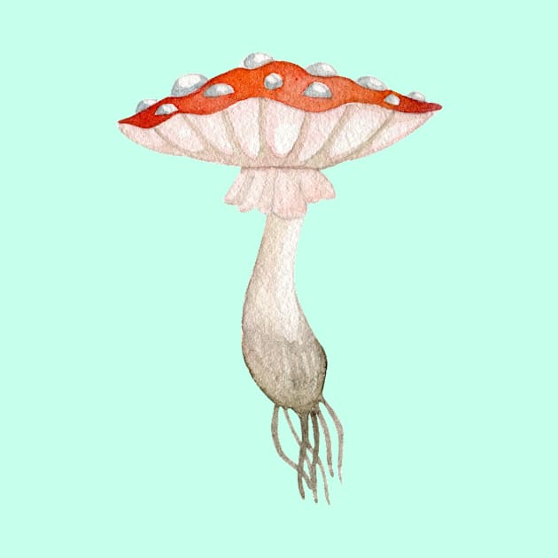 Mushroom Master Fly Agaric by Mushroom Master