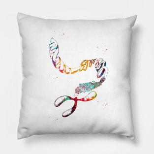 DNA Chromosome Pillow