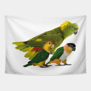 Parrots Tapestry