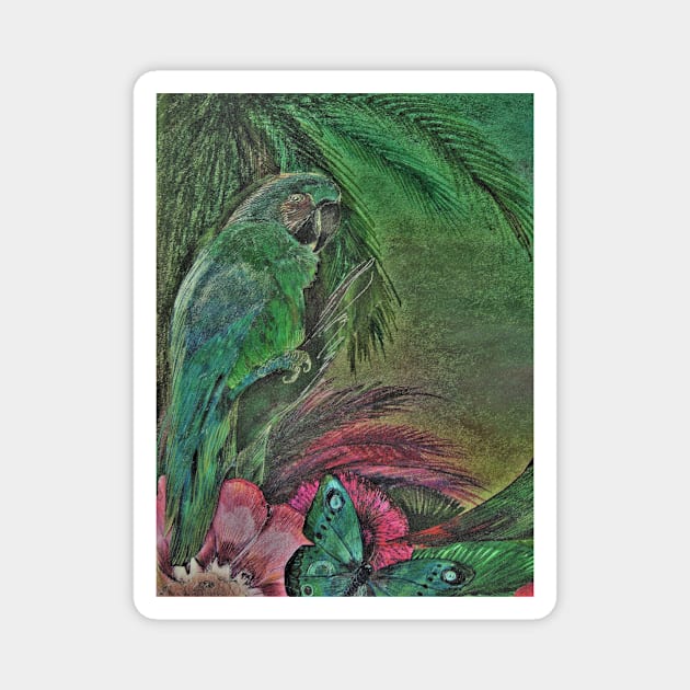GREEN PARROT MACAW TROPICALDECO POSTER ISLAND ART PRINT PALM DESIGN Magnet by jacquline8689
