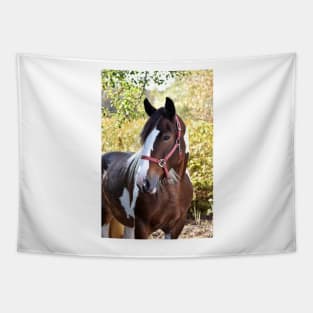 Drum horse Tapestry