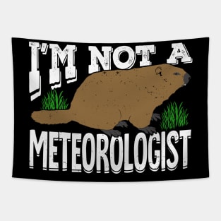 Groundhog Woodchuck Meteorology Meteorologist Gift Tapestry