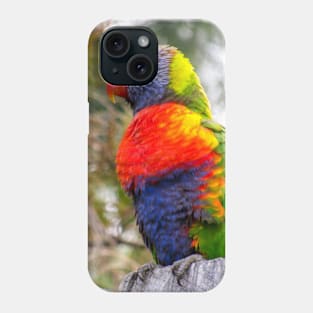 Rainbow Lorikeet Phone Case