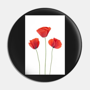 Three poppies Pin