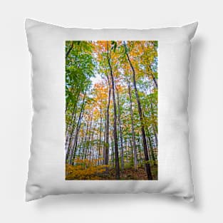 Autumn in the Tree Tops Pillow