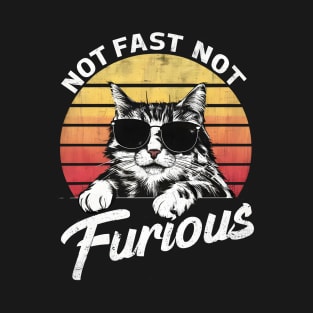 Not Almost Not Furious Lazy Relaxed Cat T-Shirt