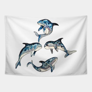 killer whale in Space Tapestry