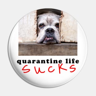 quarantine life sucks Pin