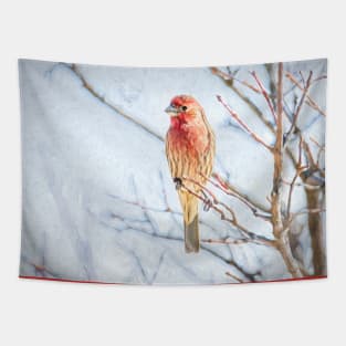 Backyard House Finch Painterly Tapestry