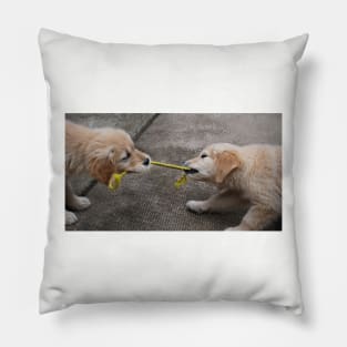 "TUG-OF-WAR" Pillow