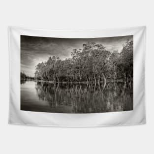 The River Murray, South Australia Tapestry