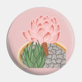 pink suculent Pin