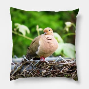 Mourning Dove Sitting On A Fence Pillow