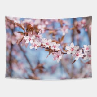 Pastel Pink Sakura Blossoms with Blue Sky Tapestry