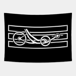 Recumbent Bike Threewheeler Tapestry